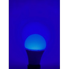 10 WATT MAVİ IŞIK 765 LÜMEN 220 VOLT  LED AMPUL