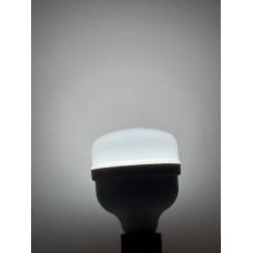 20 WATT BEYAZ IŞIK 6500 K TORCH AMPÜL