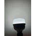 20 WATT BEYAZ IŞIK 6500 K TORCH AMPÜL