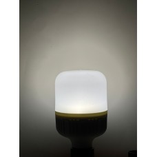 20 WATT BEYAZ IŞIK TORCH AMPUL