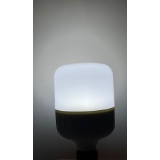 30 WATT BEYAZ IŞIK TORCH AMPUL