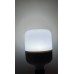 30 WATT BEYAZ IŞIK TORCH AMPUL