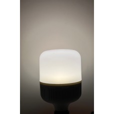 30 WATT GÜNIŞIĞI TORCH AMPUL