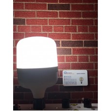 40 WATT TORCH AMPÜL 6500 KELVİN