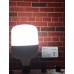 40 WATT TORCH AMPÜL 6500 KELVİN