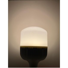 40 WATT GÜNIŞIĞI TORCH AMPUL