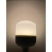 40 WATT GÜNIŞIĞI TORCH AMPUL