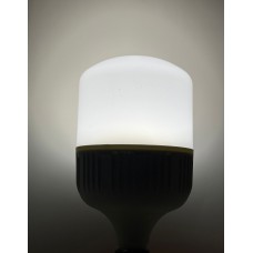 50 WATT BEYAZ TORCH AMPUL